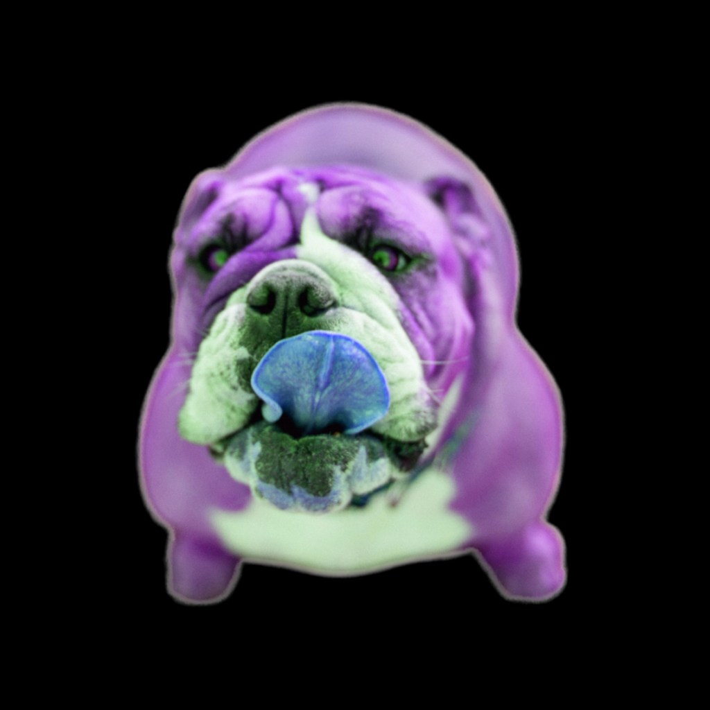 Purple Rain Black | Limited Photography Fine Art Print | 1 of 20 | Giclee 20" x 20" | $95