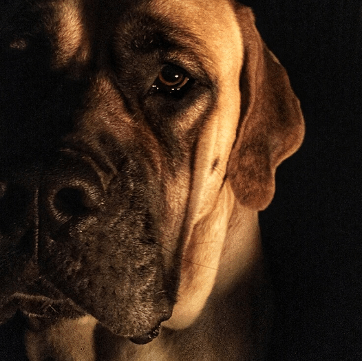 Norma Jean | Limited Photography Fine Art Print | 1 of 30 | Giclee 10" x 10" Framed $77